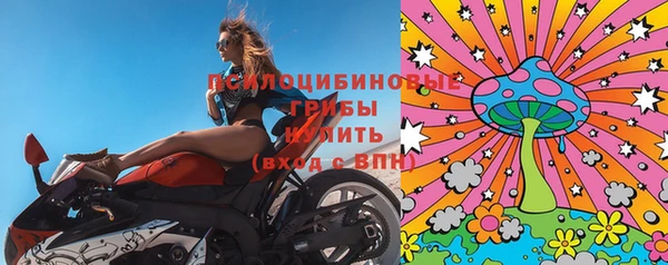 гидропоника Бугульма