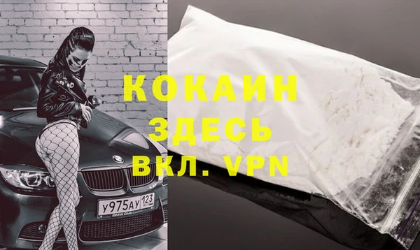 спайс Бородино