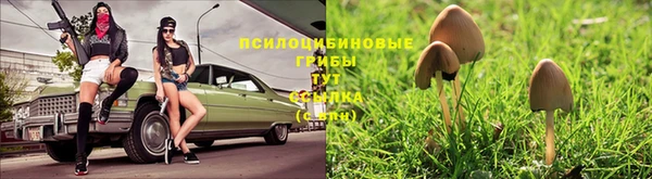 спайс Бородино