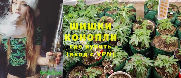 спайс Бородино