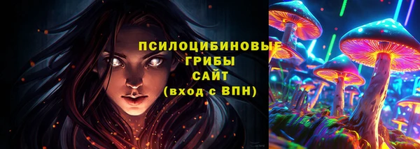 спайс Бородино